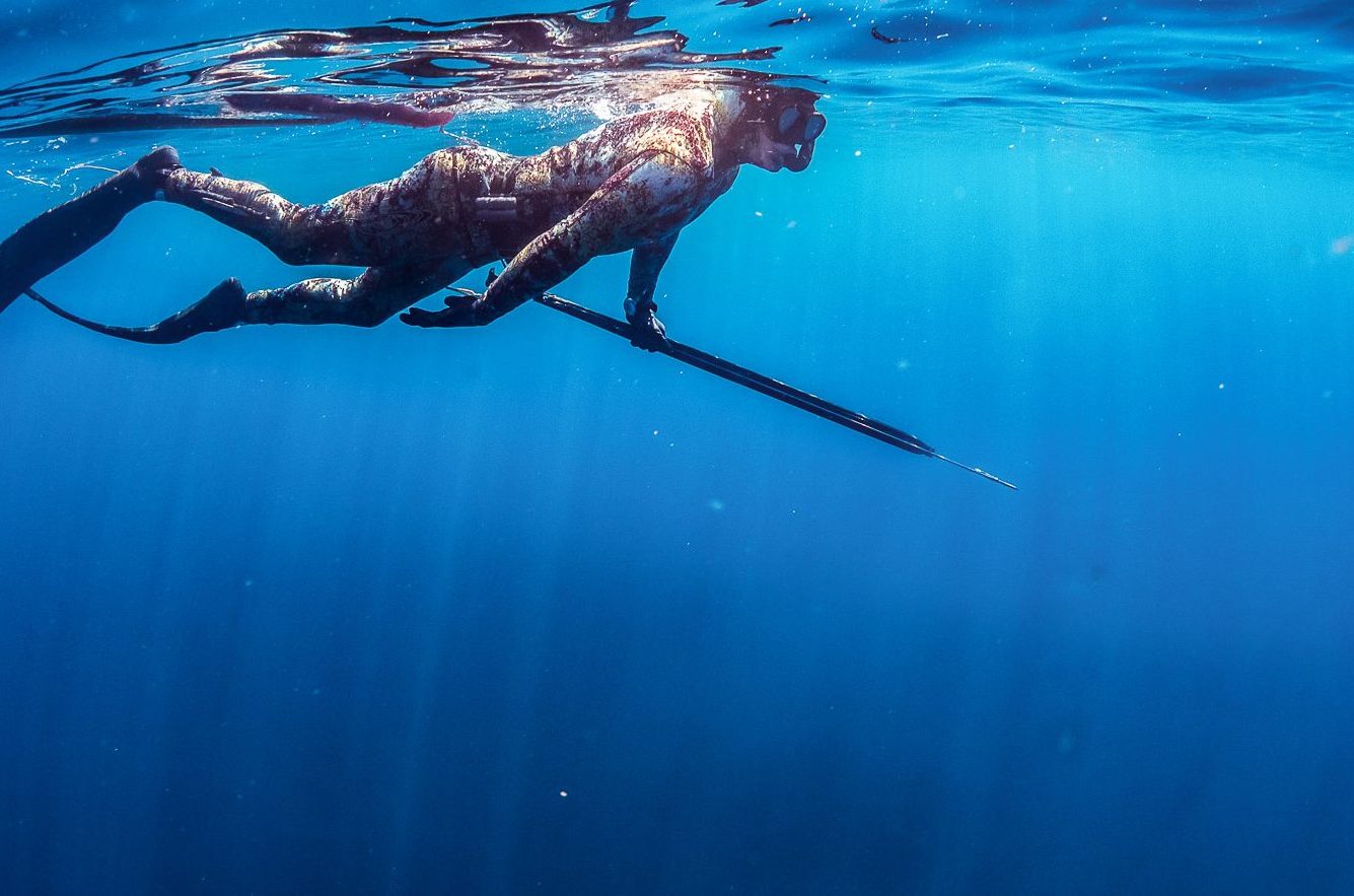 Freediving and Spearfishing Course